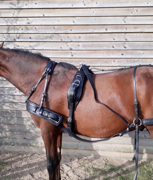 Harnais lève grand poney 450kg AR00157 - ETS LEBRETON